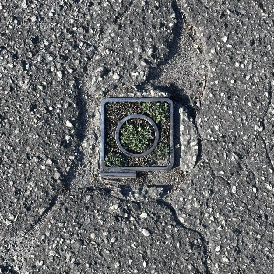 Cover of From Within Box Grave